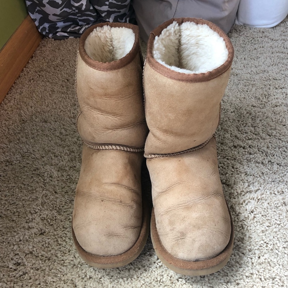Ugg Women’s Classic Boot Chestnut